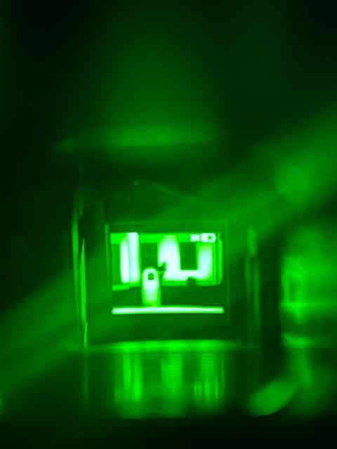 IMG_8317.jpeg