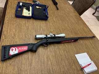 Ruger bolt action 17 caliber HMR