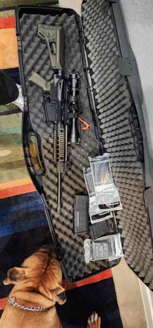 Sig Patrol 716 w/New Viper PST 4-16x50 308/7.62