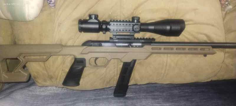 Savage semiauto &amp;RIA TM22 