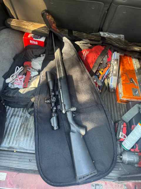 223 savage axis 