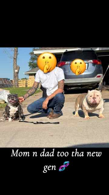 Micro bully’s 